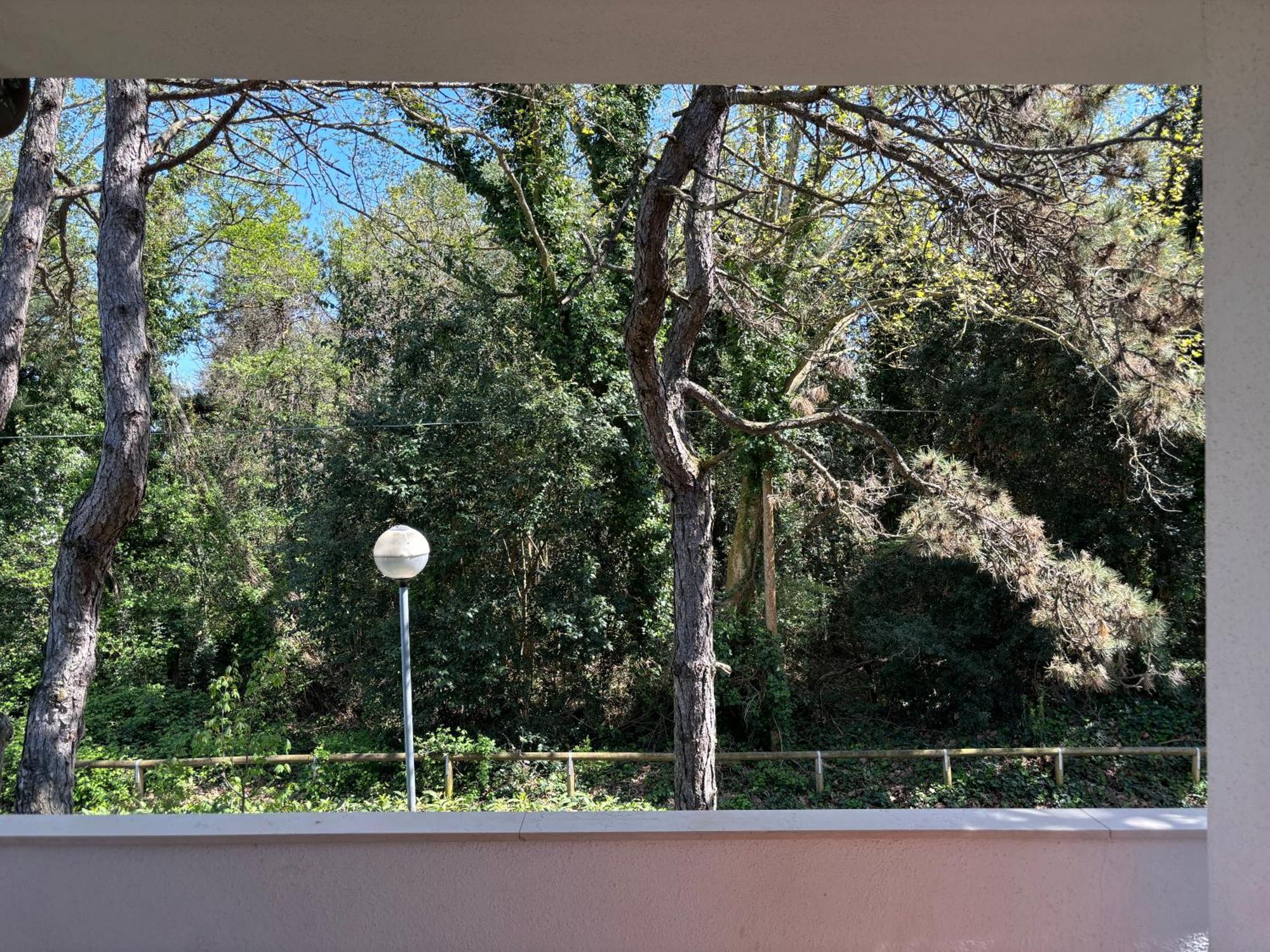 Villa Giorgio 2 Mare E Pineta Bibione Exterior photo